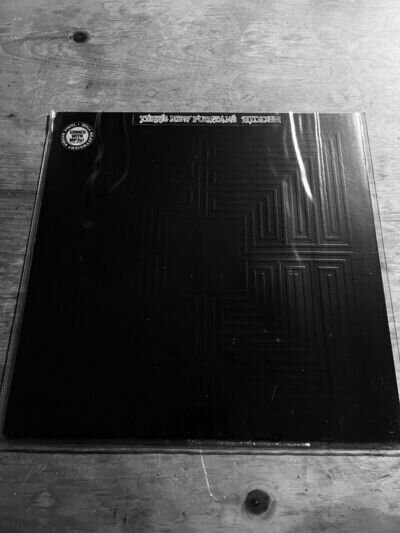 These New Puritans Hidden LP, 2010.