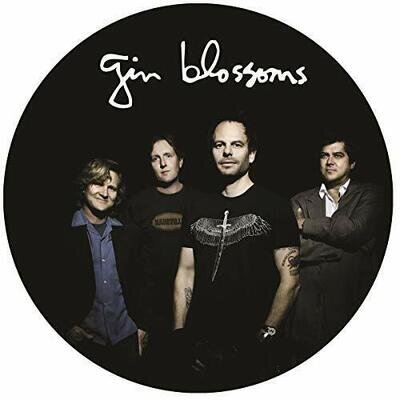 LIVE IN CONCERT (PICTURE DISC) - GIN BLOSSOMS