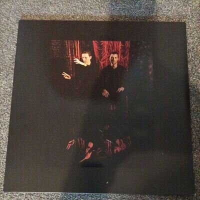 These New Puritans - Inside The Rose (Vinyl)