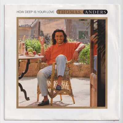 (AA127) Thomas Anders, How Deep Is Your Love - 1992 - 7" vinyl