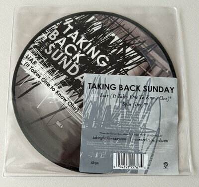 TAKING BACK SUNDAY Liar (It Takes One To Know One) Spin 7” Picture Disc (Vinyl)