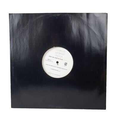 Richard Anthony Davis When You Need My Lovin' EP Vinyl Promo 12" 1997 UK