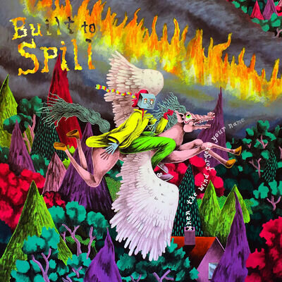 Built To Spill | Black Vinyl LP | When the Wind Forgets Your Name