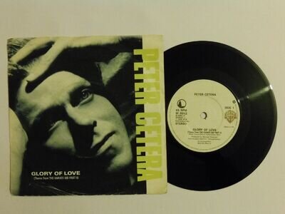 Peter Cetera – Glory Of Love - 7" Vinyl Single - VG+ - See Description.