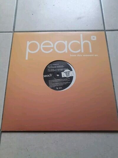 Peach - From This Moment On house Matt Darey / Shape Navigator mix 12" vinyl EX