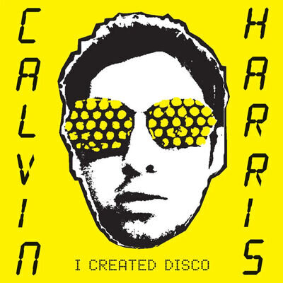 Calvin Harris | Vinyl LP | I Created Disco |