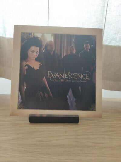 Evanescence - Call Me When You're Sober 7” Vinyl