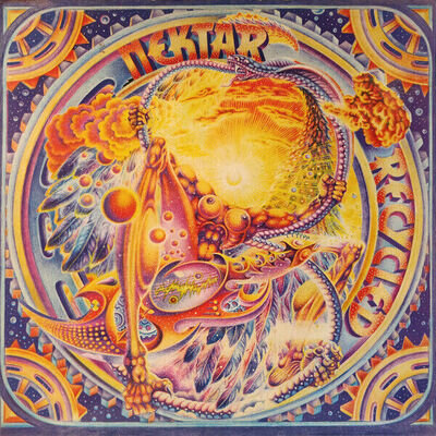 Nektar Recycled Vinyl Record *PLEASE READ DESCRIPTION* VG/VG+