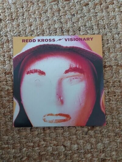 Redd Kross Visionary 10" vinyl single record UK WAY2788