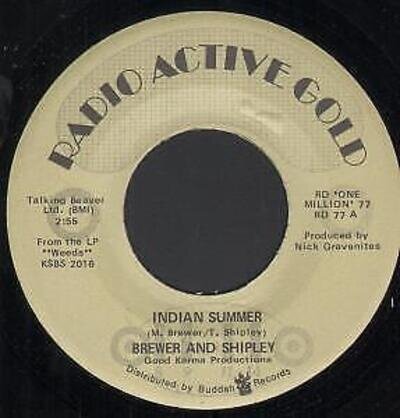 Brewer and Shipley Indian Summer 7" vinyl USA Radio Active Gold in generic