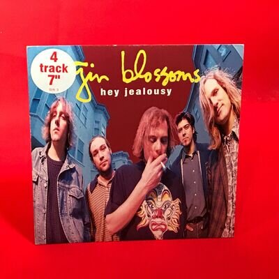 GIN BLOSSOMS Hey Jealousy 1992 UK 4-track 7" vinyl EP Cold River Dick original