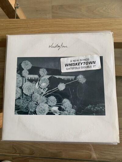 Whiskeytown - Theme For A Trucker (2x 7” Gatefold Single) Ryan Adams