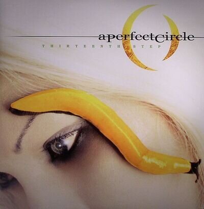 A PERFECT CIRCLE - Thirteenth Step - Vinyl (gatefold 2xLP)