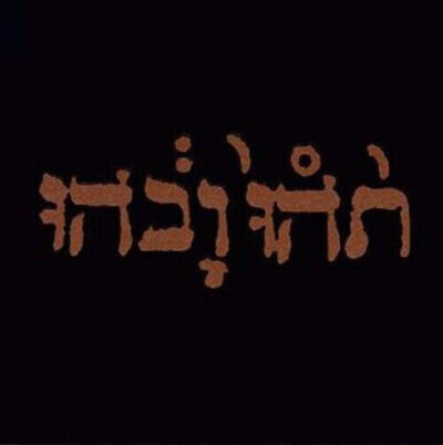 Godspeed You! Black Emperor Slow Riot for New Zero Kanada (Vinyl) 12" Album