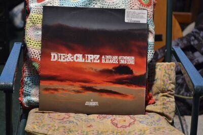 DJ Die - Indian Summer - Back Inside - Clear Skyz Recordings - Drum & Bass Vinyl