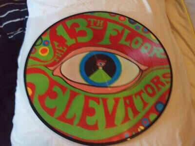 THE 13th FLOOR ELEVATORS PICTURE DISC RSD 2019 1966 mono charly ex ex ex 9 trks