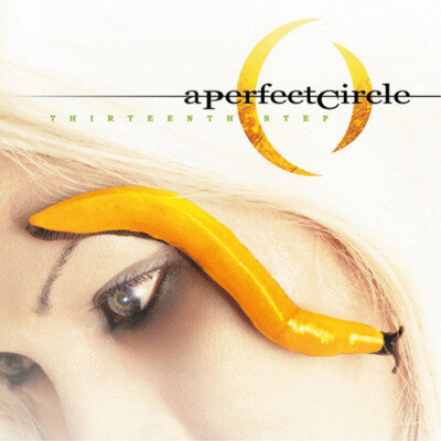 A Perfect Circle Thirteenth Step (Vinyl) 12" Album (Gatefold Cover)