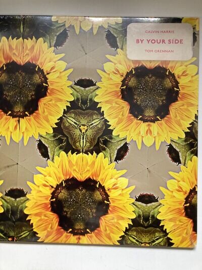 CALVIN HARRIS BY YOUR SIDE LIMITED EDITION PICTURE DISC VINYL EP, NEW & SEALED