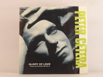 PETER CETERA GLORY OF LOVE (THEME FROM THE KARATE KID PART II) (104) 2 Track 7"