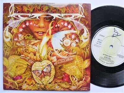 Spyro Gyra Morning Dance 7" Infinity INF111 EX/EX 1979 picture sleeve, Morning D