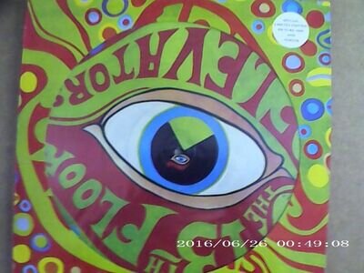 the psychedlic sounds of 13th floor elevators