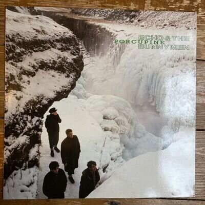 ECHO AND THE BUNNYMEN - PORCUPINE - 1ST PRESS VINYL LP - EX/EX