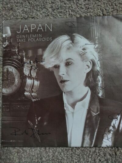 Japan David Sylvian 12x 7 inches Vinyl and 1 fully signed Single and PictureDisk