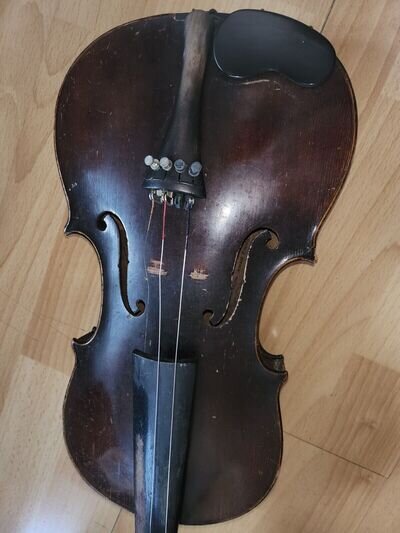 violin