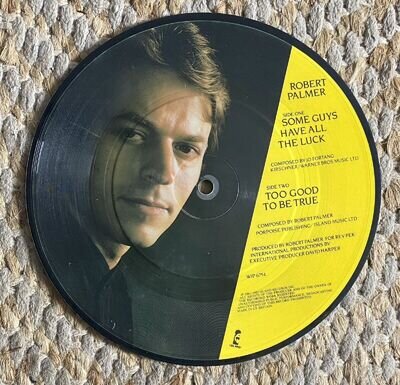 Robert Palmer Some Guys Have All The Luck 7” Vinyl Picture Disc Ex Condition