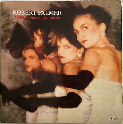 Robert Palmer - I Didn’t Mean To Turn You On - 7” Vinyl Single Gatefold Sleeve