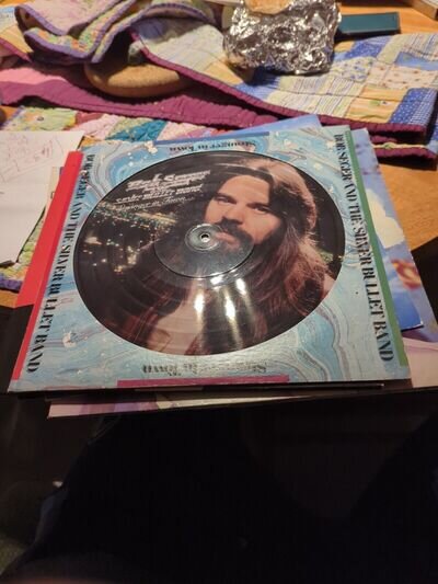 Bob Seger stranger in town vinyl Picture Disc