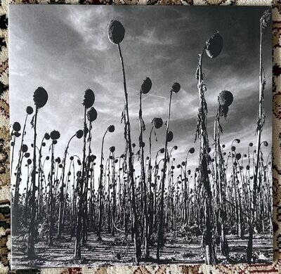 Dead Can Dance - Anastasis 2 x Vinyl LP