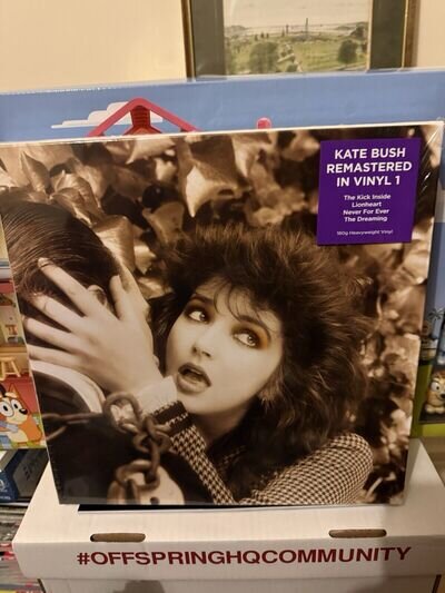 Kate Bush Remastered in Vinyl I (1) Box Set. Used but mint.