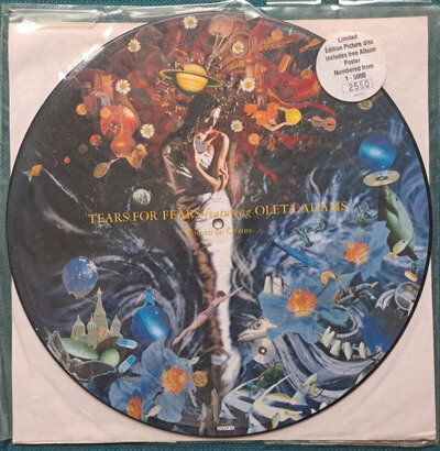 Tears For Fears - Woman In Chains - Limited Vinyl 12" Picture Disc (1989)