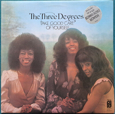 The Three Degrees - Take Good Care Of Yourself - 12" Vinyl Album LP RECORD EX+