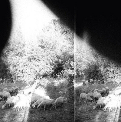 Godspeed You! Black Emperor Asunder, Sweet and Other Distress (Vinyl) 12" Album