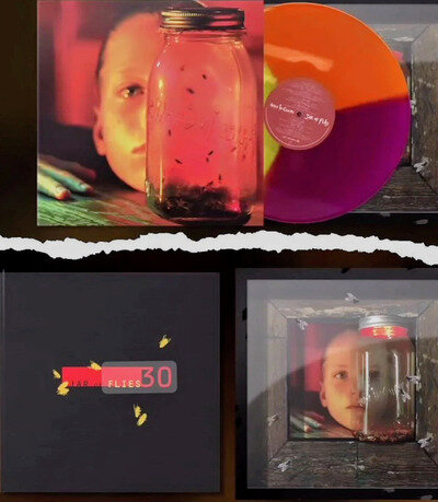 Alice In Chains Jars of Flies Limited Edition Box Set Tri Colored Vinyl LP 30yrs