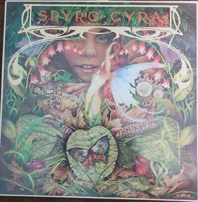 Spyro-Gyra. Morning Dance Vinyl Album. Excellent Condition