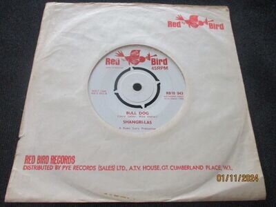 RARE SHANGRI-LAS "I CAN NEVER GO HOME - BULL" 1966 UK RED BIRD NORTHERN SOUL EX-