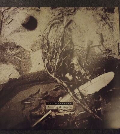 Secrets of the Beehive by David Sylvian (Record, 2019)