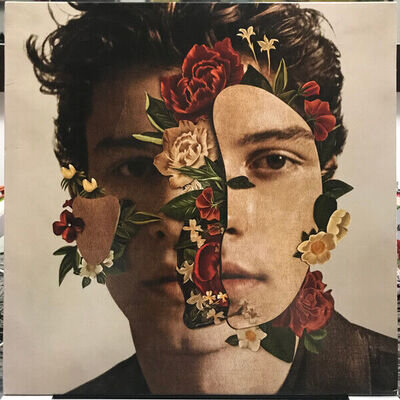 Shawn Mendes Shawn Mendes Vinyl Record VG+/VG+