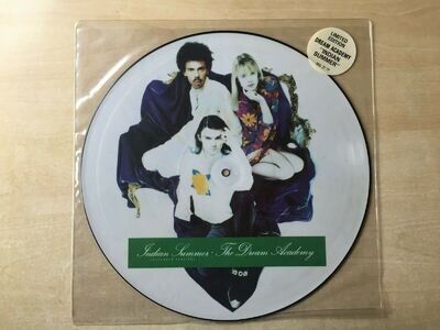 DREAM ACADEMY - 12" SINGLE: INDIAN SUMMER PICTURE DISC *NEAR MINT*