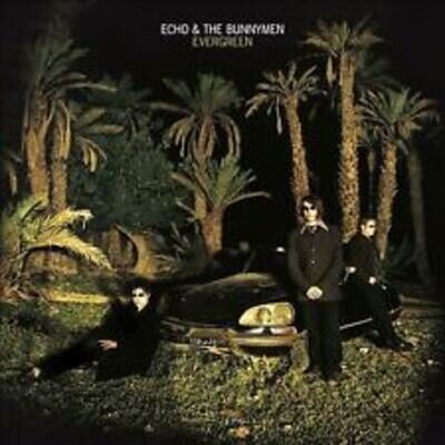 Echo & the Bunnymen : Evergreen VINYL 25th Anniversary 12" Album Coloured