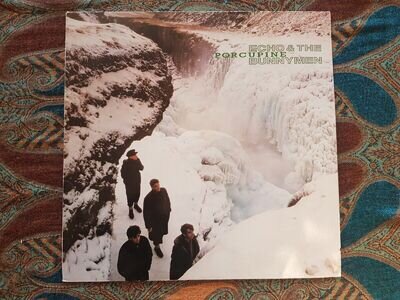 Echo and The Bunnymen - Porcupine LP *scratch* 1983 New Wave Vinyl