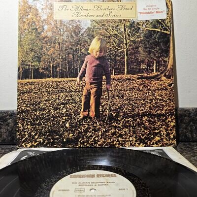 THE ALLMAN BROTHERS BAND, BROTHERS AND SISTERS, 1973, INSERT SHEET, EX CONDITION