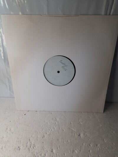 Beastie Boys - Hold It, Now Hit It (1998 Remix) - USA Promo 12" Vinyl - 1998 ...