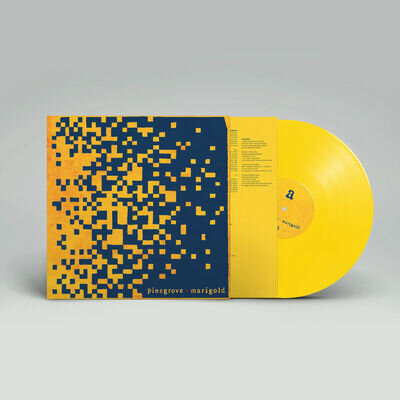 Pinegrove | Yellow Vinyl LP | Marigold | Rough Trade