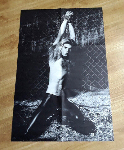 VAN HALEN Dave Lee Roth POSTER (1980) Very Rare Poster from Women & Children LP