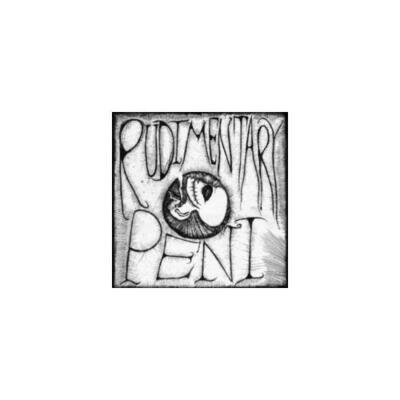 RUDIMENTARY PENI: RUDIMENTARY PENI :7" vinyl *BRAND NEW*: