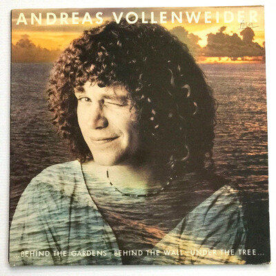 Andreas Vollenweider - Behind The Gardens Vinyl LP Album 1982